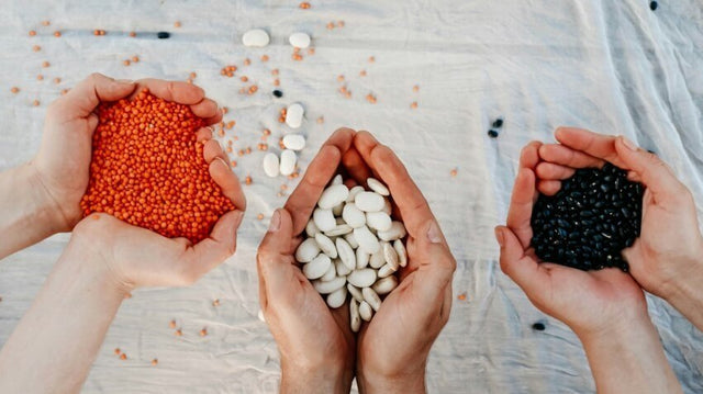 High Fibre Foods: Why Fibre Matters (And Why You're Probably Not Getting Enough)