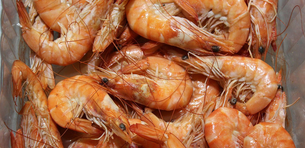 Prawn Allergy: Symptoms, Testing and Alternatives