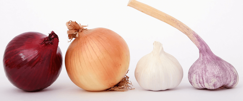 Allium intolerance and allergy symptoms: Onion & Garlic