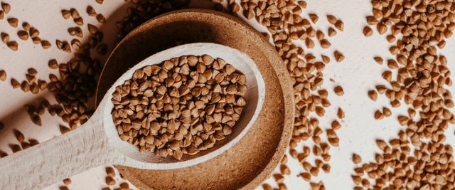 Buckwheat Allergy: Signs, Symptoms & Testing