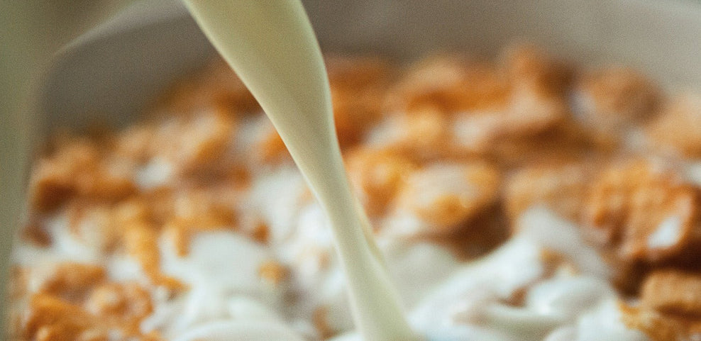 Lactose Intolerance: Symptoms, Causes and How to Test