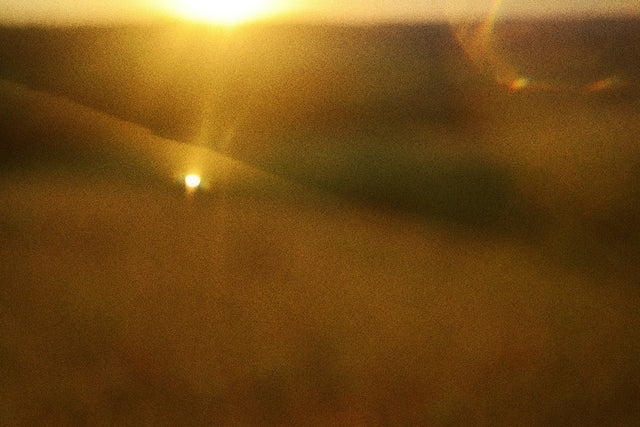 Vitamin D Test: Do You Need One, and What Do the Results Mean?