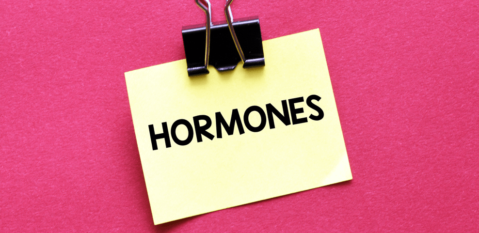 Foods to Ease Menopausal Symptoms: What to Eat and What to Limit