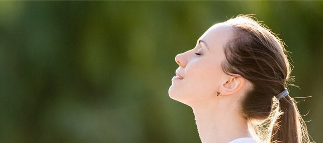 Supporting a Healthy Immune System