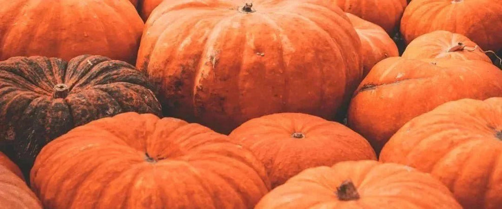 Pumpkin Allergy: Symptoms, Cross-Reactivity & Testing