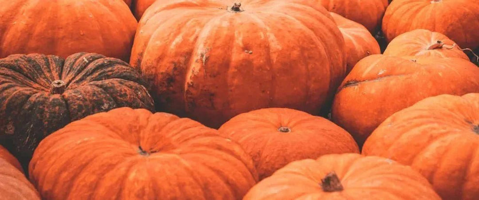 Pumpkin Allergy: Symptoms, Cross-Reactivity & Testing