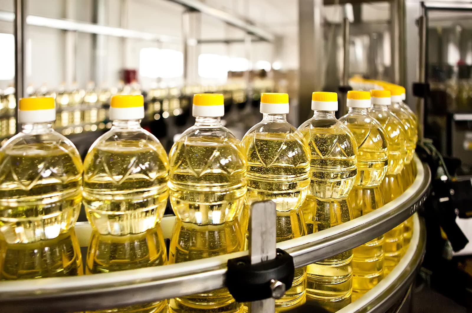 The debate around seed oils is complex, and the scientific evidence doesn't support extreme positions on either side. Get the facts here.