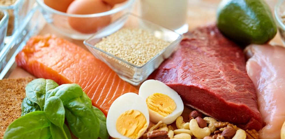 The Importance of Dietary Protein