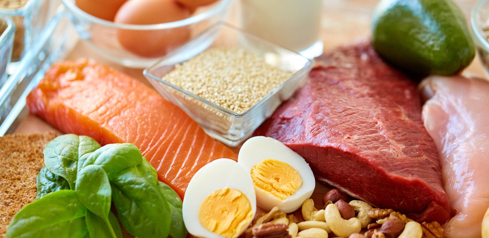 The Importance of Dietary Protein