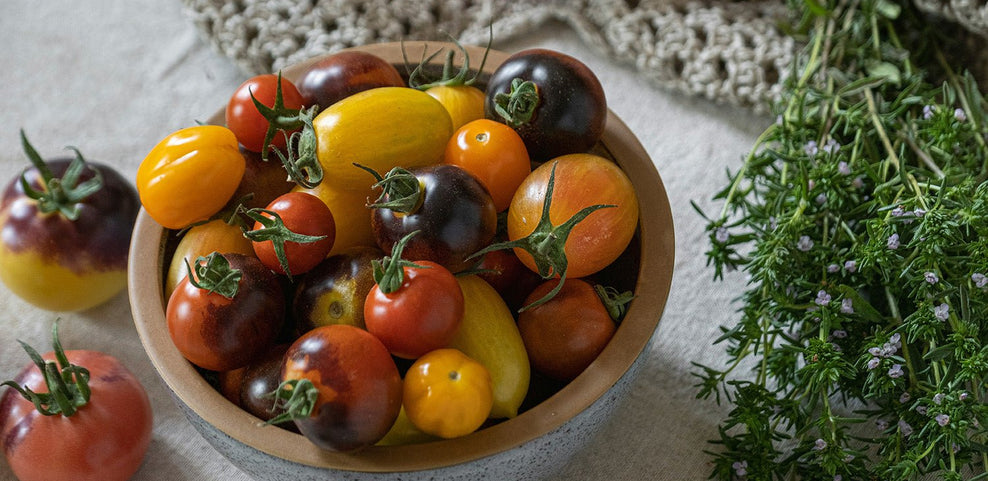 Intolerance to Tomatoes: Symptoms, Causes, and What a Test Can Tell You