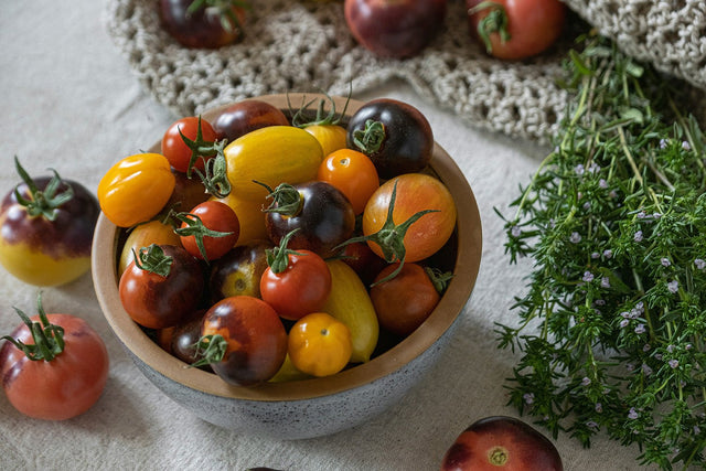 Intolerance to Tomatoes: Symptoms, Causes, and What a Test Can Tell You