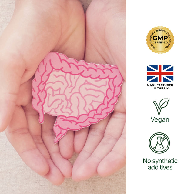 Better Gut Probiotic